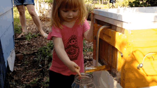 Honey Tasting