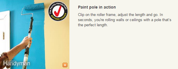 Extendable Paint Pole